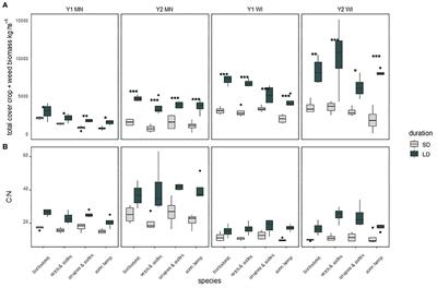 Ecosystem Services and Cash Crop Tradeoffs of Summer Cover Crops in Northern Region Organic Vegetable Rotations